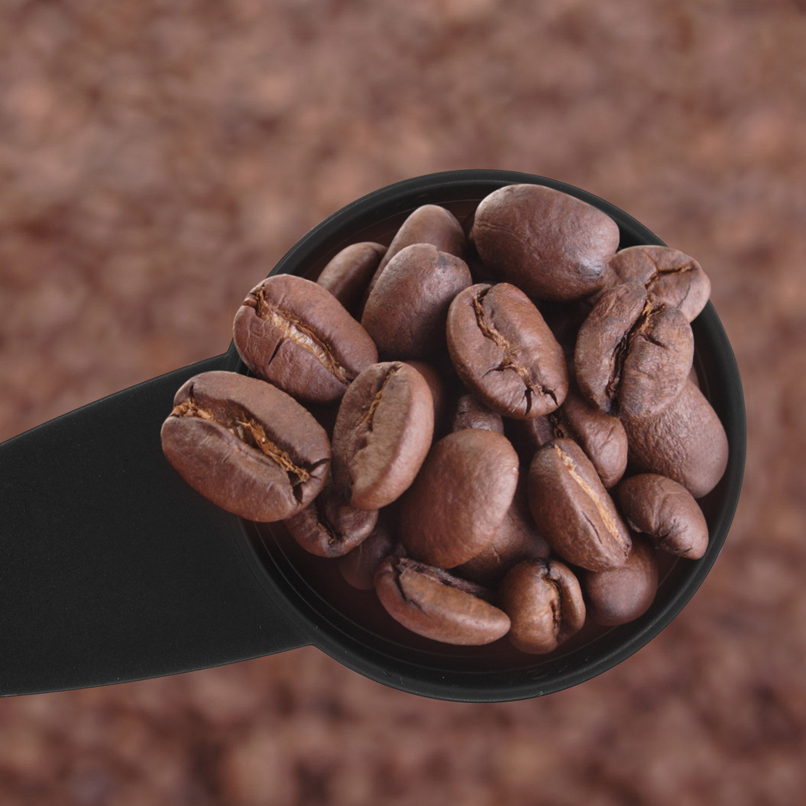 5 個の計量スプーンロングハンドルコーヒー豆スクープポリッシ - Coffee Tea Beans のレビューと価格